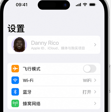 施甸appleID维修服务iPhone设置中Apple ID显示为灰色无法使用 