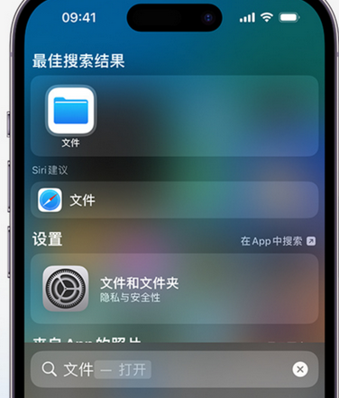 施甸apple维修中心分享iPhone文件应用中存储和找到下载文件 