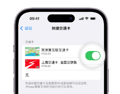 施甸apple维修点分享iPhone上更换Apple Pay快捷交通卡手绘卡面 