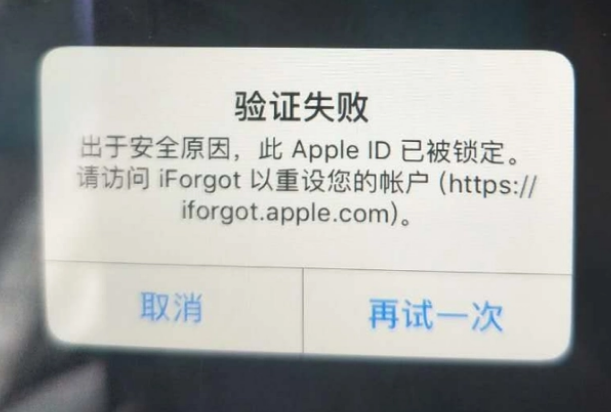 施甸iPhone维修分享iPhone上正常登录或使用AppleID怎么办 