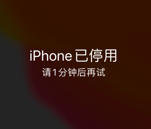 施甸苹果手机维修分享:iPhone 显示“不可用”或“已停用”怎么办？还能保留数据吗？ 