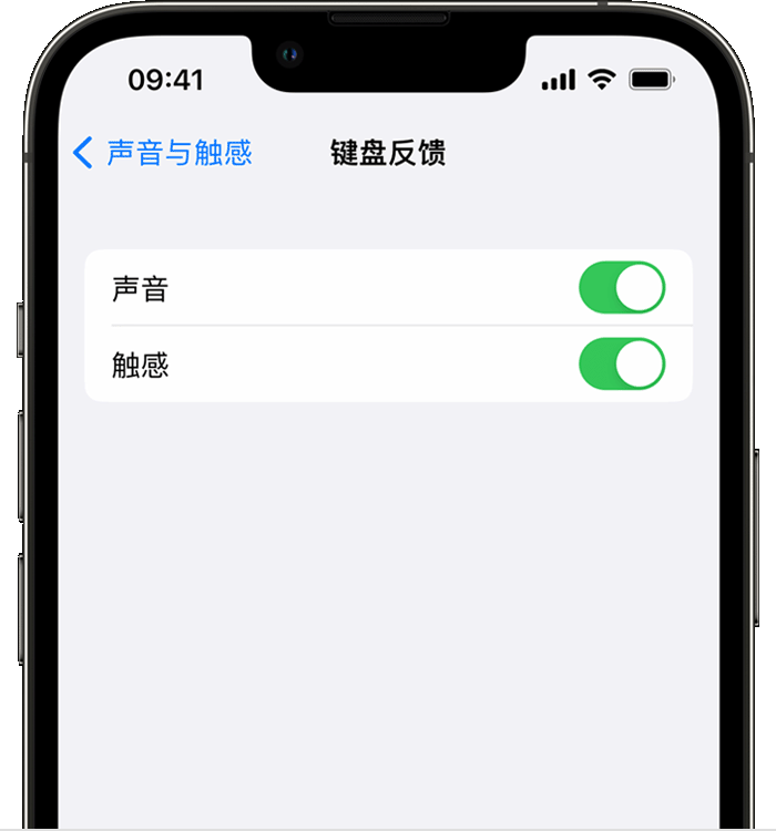 施甸苹果14维修店分享如何在 iPhone 14 机型中使用触感键盘 