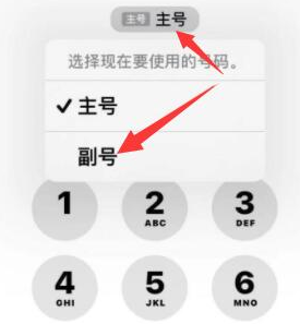 施甸苹果14维修店分享iPhone 14 Pro Max使用副卡打电话的方法 