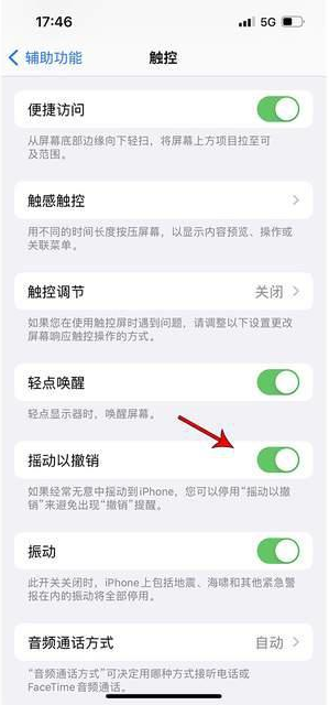 施甸苹果手机维修分享iPhone手机如何设置摇一摇删除文字 