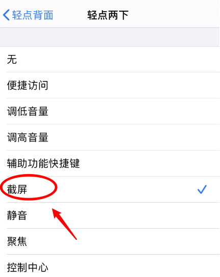 施甸苹果手机维修分享iPhone12如何启用双击截屏 